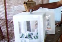 Haïti élections ; 17 candidats dans le département de l’ouest pour un poste de sénateur vacant