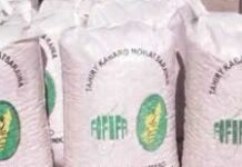 1,500 tonnes de semences pour Haïti