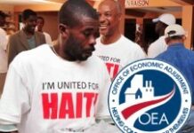 OEA: La diaspora haïtienne s’implique dans la reconstruction d’Haïti