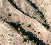 Haïti-Environnement: La déforestation, emblème d’une situation catastrophique
