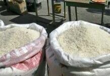 Aliments : les prix du marché en Haïti