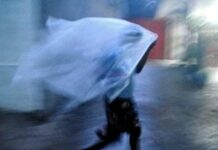 Haïti-Saison des pluies; Les organisations travaillent sans relâche