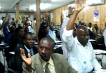 Vote par la chambre des députés du projet de loi sur la paternité