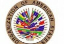 Le rapport de la mission de l’OEA sera bientôt rendu public