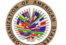 La plupart des cas de fraude se sont produits dans les bureaux de vote selon l’OEA