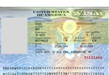 Silence des autorités sur la révocation des visas