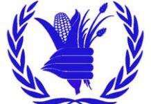 Le PAM preocupé par l’insécurité alimentaire en Haiti