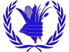 Gimg19542