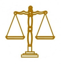 Gimg21010