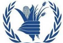 Environ 6 ,7 millions d’haïtiens souffrent d’insecurité alimentaire selon le PAM