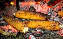 Une tradition culinaire vivace : le temps du maïs boucané