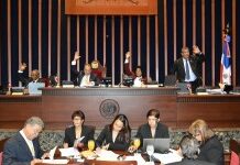 Le Sénat dominicain autorise la participation de l’État dans la production d’électricité