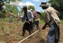 Le Gouvernement annonce la création d’emplois dans le secteur agricole