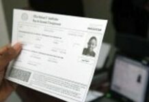 Des expatriés haïtiens seront identifiés