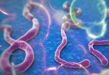 Le gouvernement est contre le départ des haïtiens vers des zones infectées par Ebola