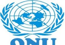 L’ONU annonce une réduction du budget de la Minustah