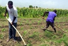 Les candidats identifient les grandes priorités