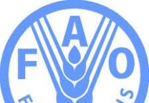 Nouveau guide sur la prévention du travail des enfants dans l’agriculture