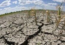 Le Sud du pays frappé par la sécheresse