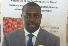 Vers la relance du secteur agricole