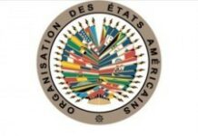 L’OEA satisfait du scrutin