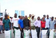 MOÏSE veut relancer le secteur agricole dans le Sud