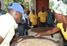 La FAO et l’UE appuient le MARNDR dans la valorisation des filières manioc et arachide