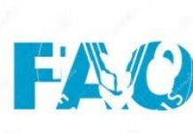 La FAO accorde 2.8 millions pour répondre aux besoins alimentaires