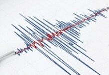 Faible surveillance de l’activité sismique en Haïti