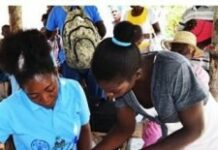 La FAO aide 500 ménages agricoles de la Grand’Anse