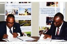 Le MARNDR et la FAO ont signé le document du Cadre de Programmation Pays