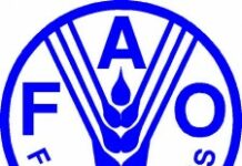 La FAO intensifie sa appui au secteur agricole