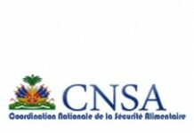 18% de la population haïtienne en grave insécurité alimentaire