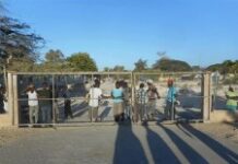 Réouverture du marché binational de Pédernales