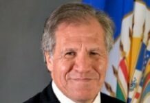 L’OEA plaide pour un gouvernement d’union nationale