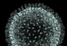 Un éventuel cas suspect de coronavirus recensé dans le Nord’Est