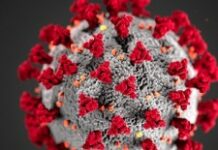 Coronavirus : Le seul cas suspect en Haïti testé négatif