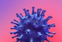 Coronavirus en Haïti : l’alerte rouge de nouveau activée