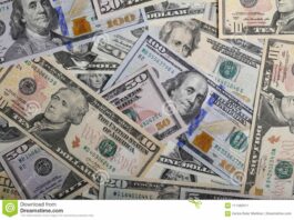 Un spécialiste constate la dollarisation de l’économie